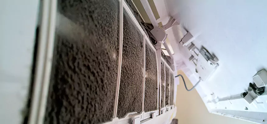 Preventive Air Duct Bacteria Removal in Warner Robins