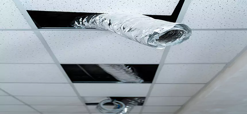 Our Air Duct Pet Hair Removal Services in Warner Robins, GA