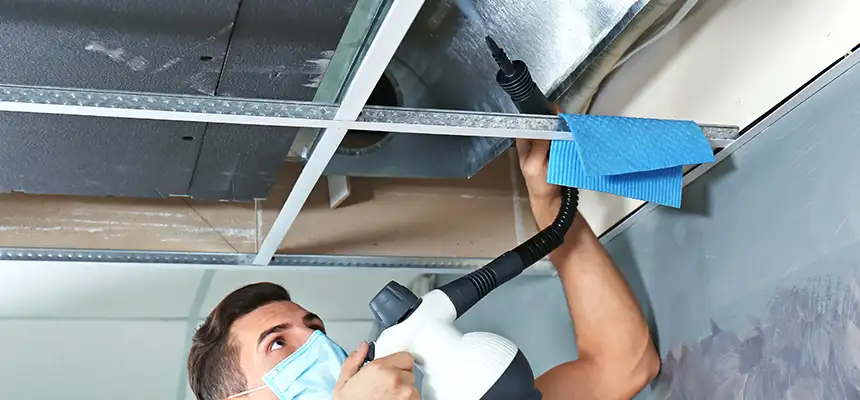 Our Air Duct Rodent Removal Services in Warner Robins, GA