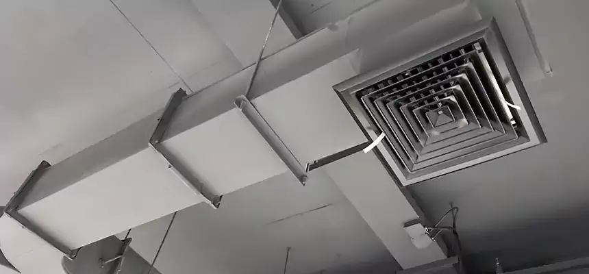 Restorative Allergy Relief Vent Cleaning – Coil, Blower & Housing Detail in Warner Robins