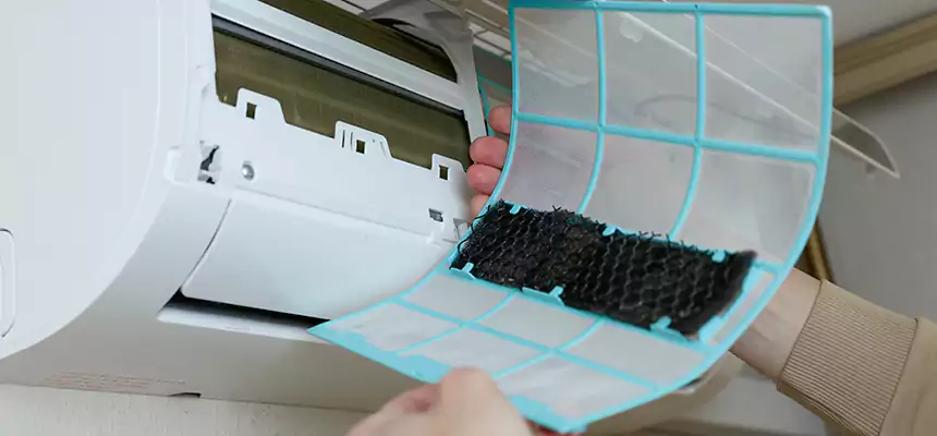 Gentle Ductwork Odor-Control Pet Dander Duct Cleaning in Warner Robins, GA