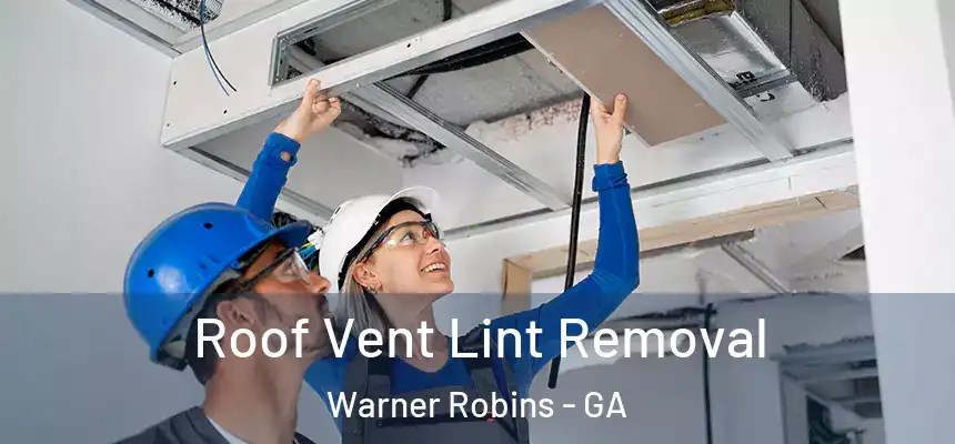 Roof Vent Lint Removal Warner Robins - GA