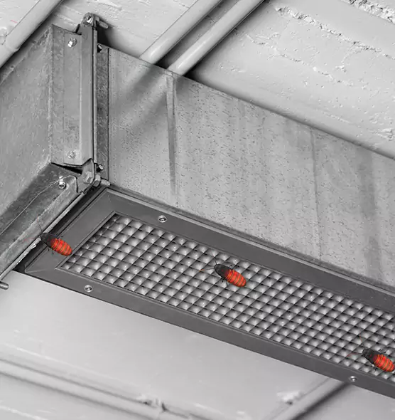 About Air Duct Cockroach Removal in Warner Robins, GA