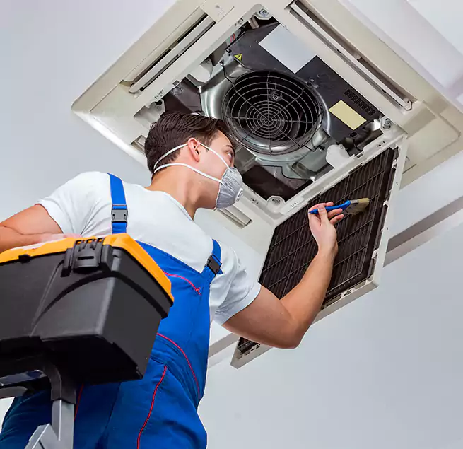 Why Homeowners & Businesses Trust Us in Warner Robins, GA