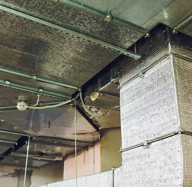 Why Homeowners & Businesses Trust Us in Warner Robins, GA?